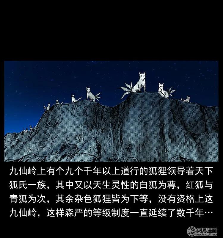 142 黑狐14