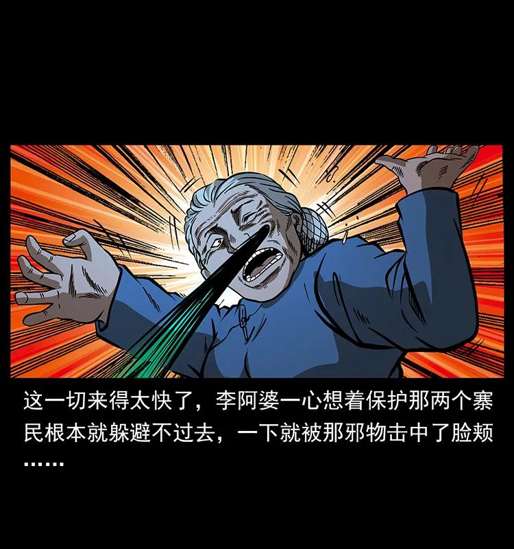 160 李老太太50