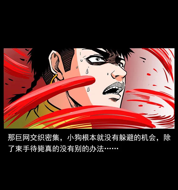 188 龙爵的实力70