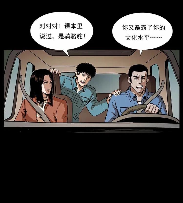 316 大漠归客7