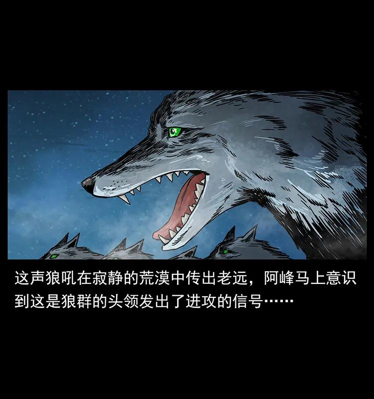 212 草原深处22