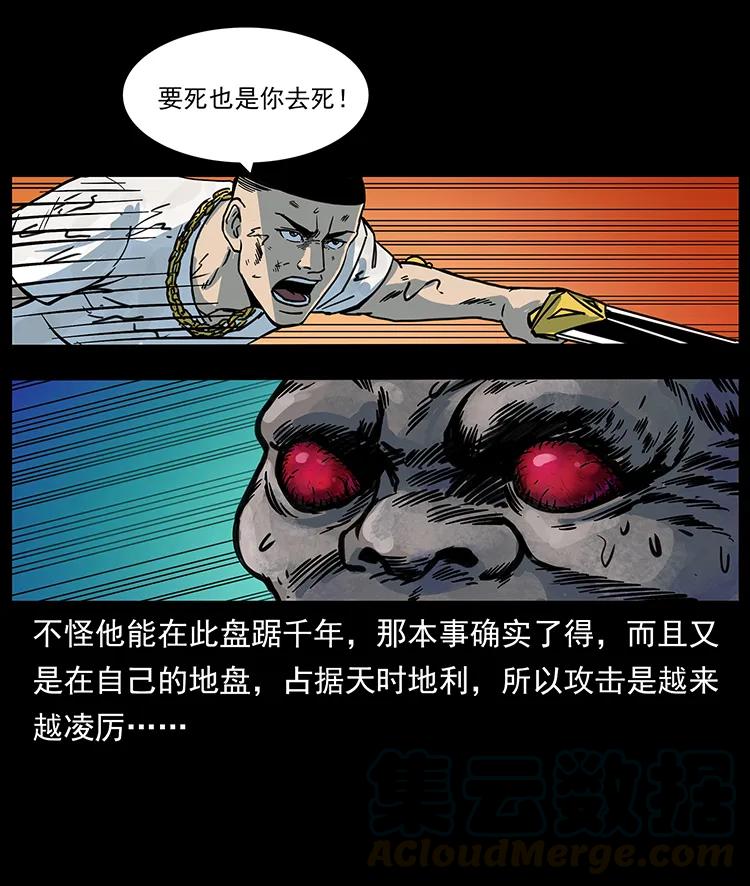 244 神迹84