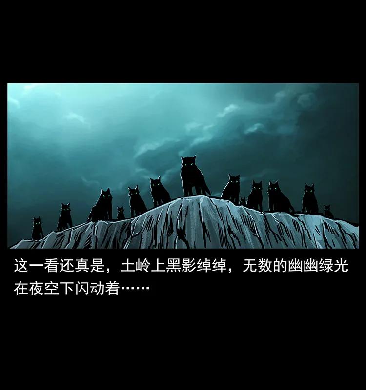 220 漠北白狼王78
