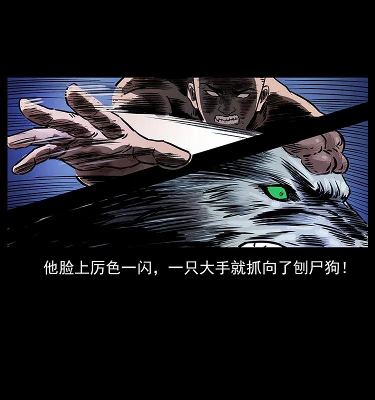 278 黑狐的危机！82