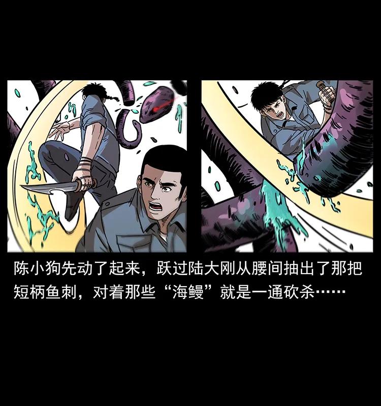 242 陈小狗失算了23