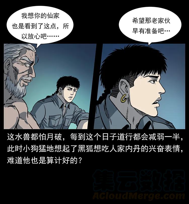 246 海妖24