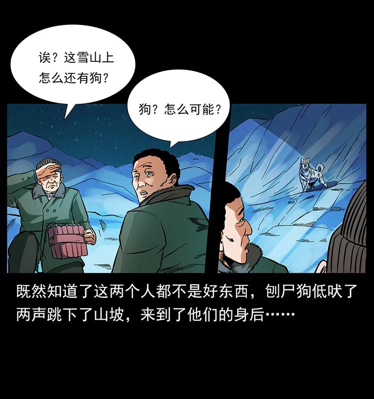 170 布局61