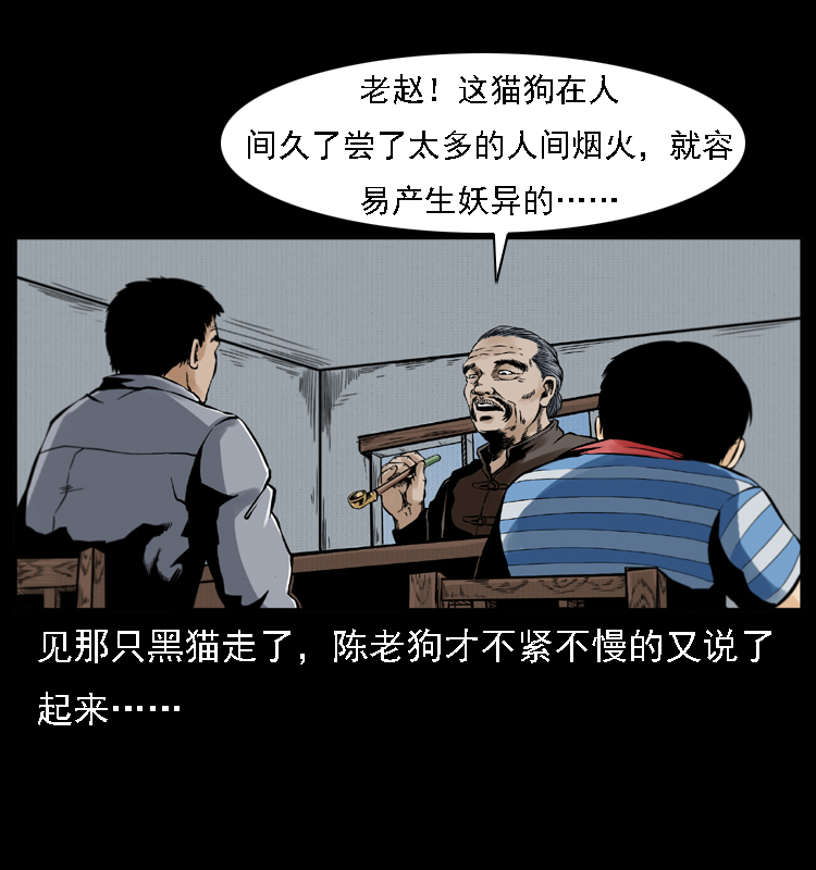 003 赵家的猫55