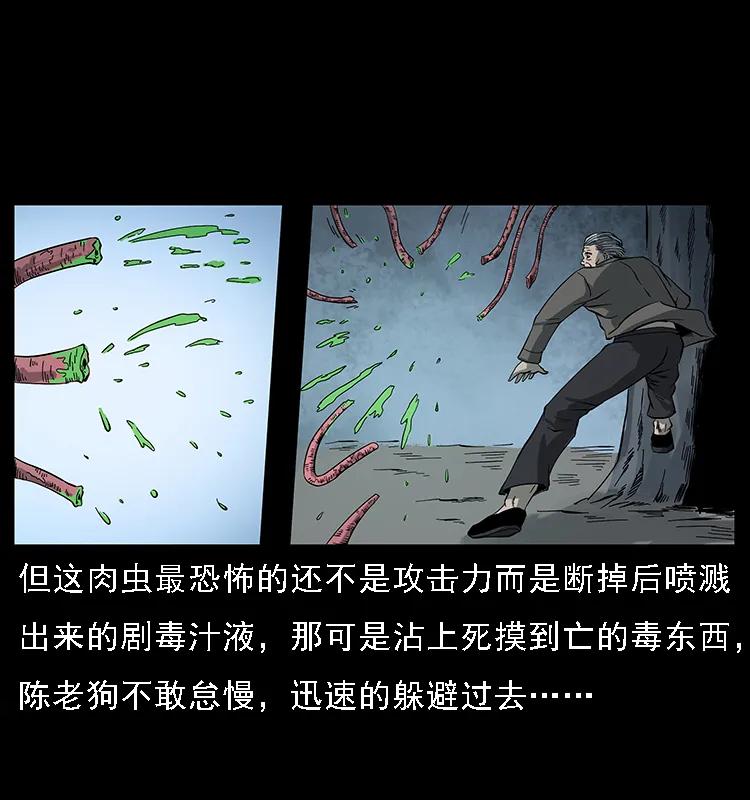 082 鬼桃树69