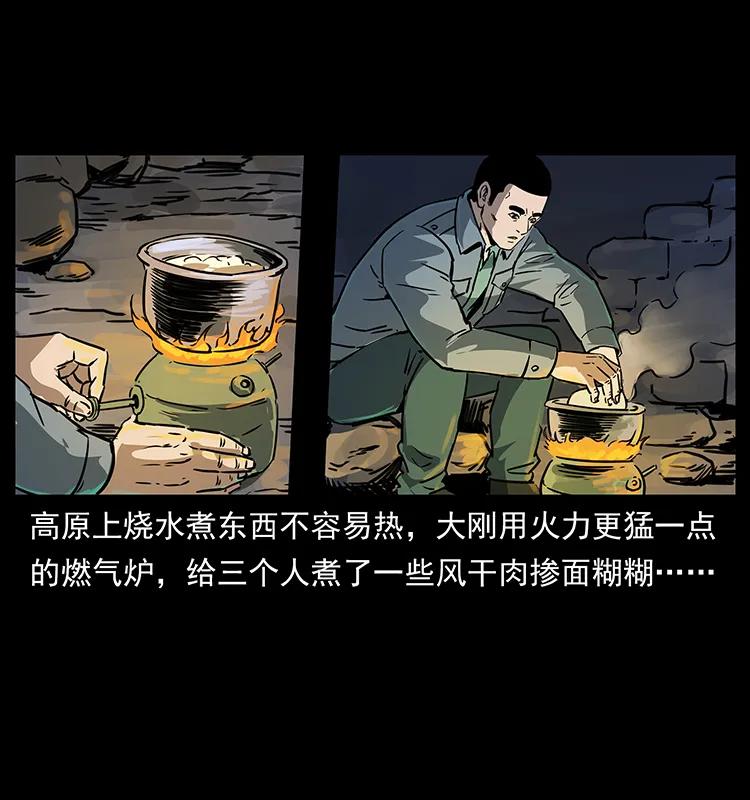 261 新藏线29