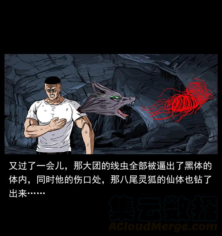 199 黑狐不好惹40