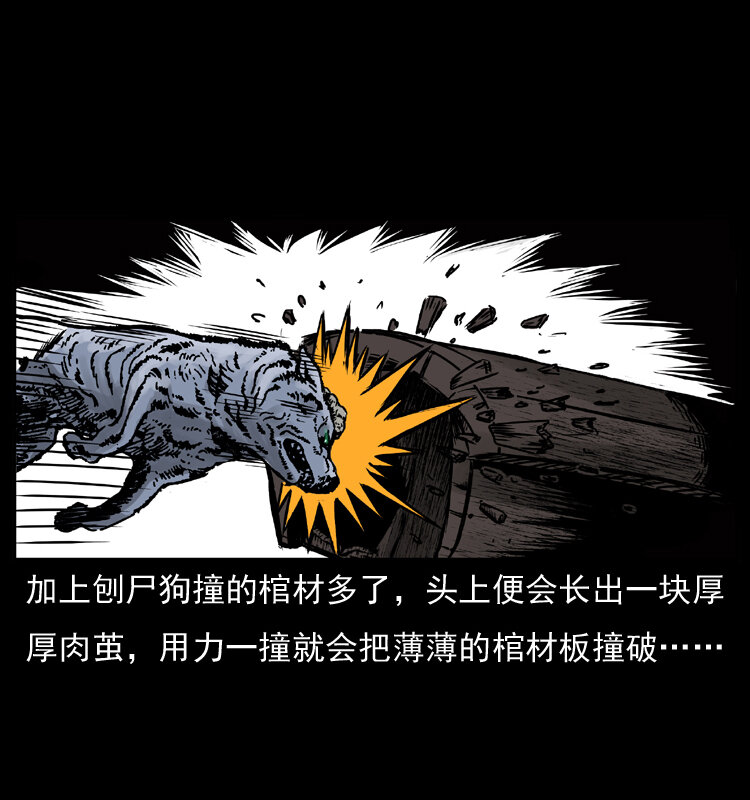 005 刨尸狗12