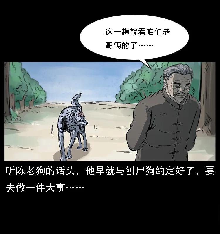 082 鬼桃树11