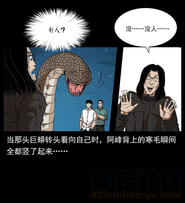 212 草原深处32