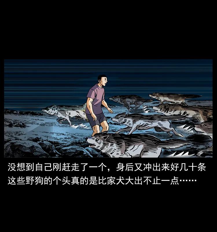 170 布局17