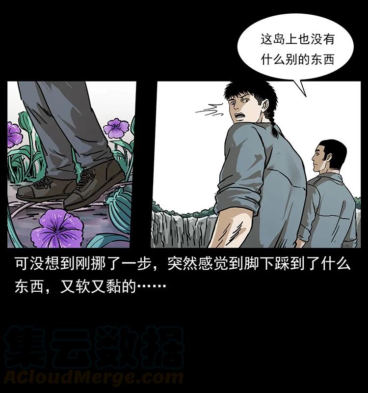 236 神秘的小岛44
