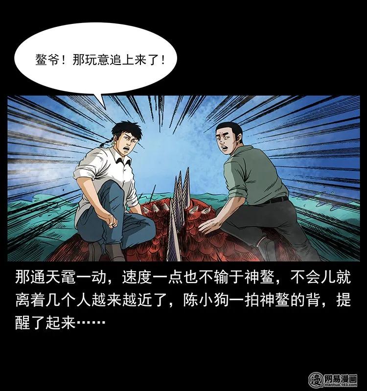 129 通天鼋81