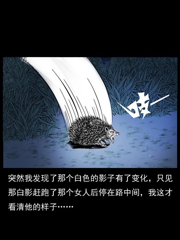 番外2 之保家白仙70