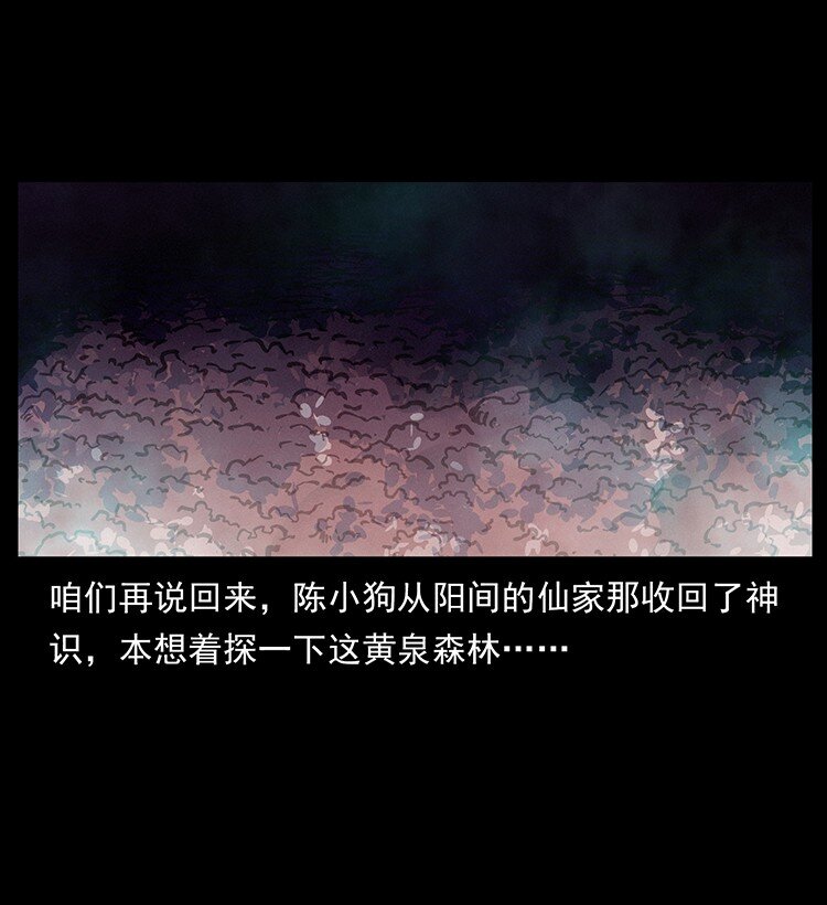 490 黑暗森林13