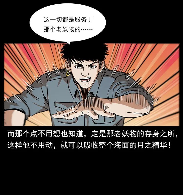 240 意外频发的诱捕61