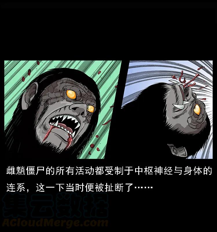 083 鬼面魈64