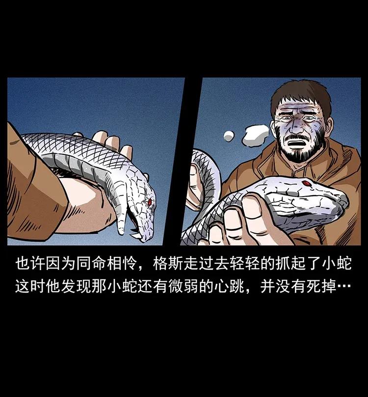 291 大神命阵21
