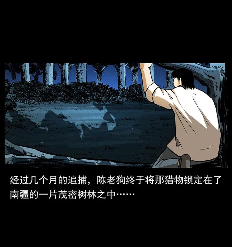 163 陈老狗下南疆3
