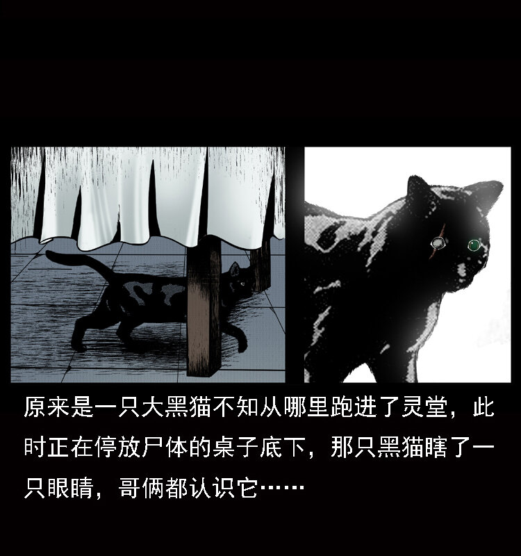 002 诈尸9