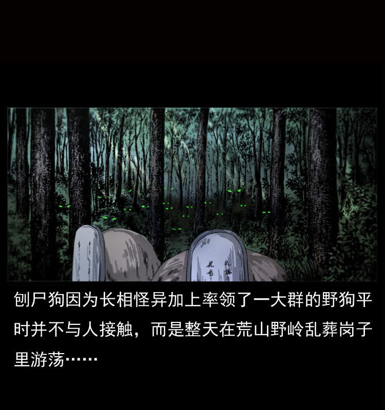 050 刨尸狗传奇32