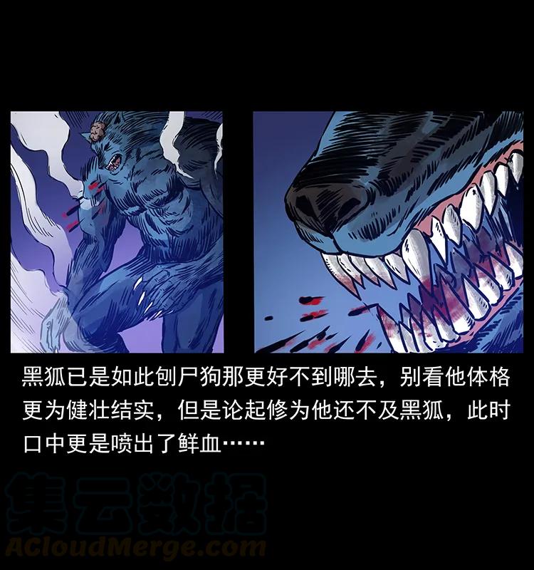 267 万山之祖——昆仑！88
