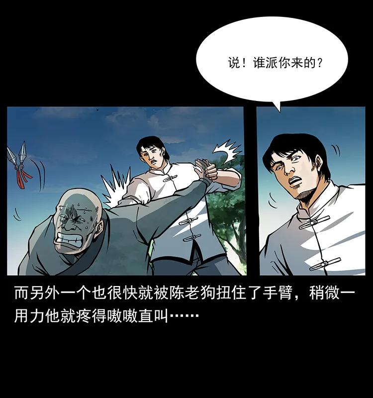 167 陈老狗遇险29