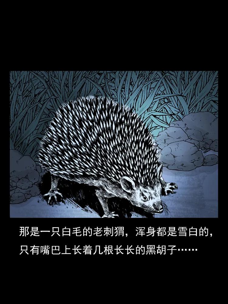 番外2 之保家白仙31
