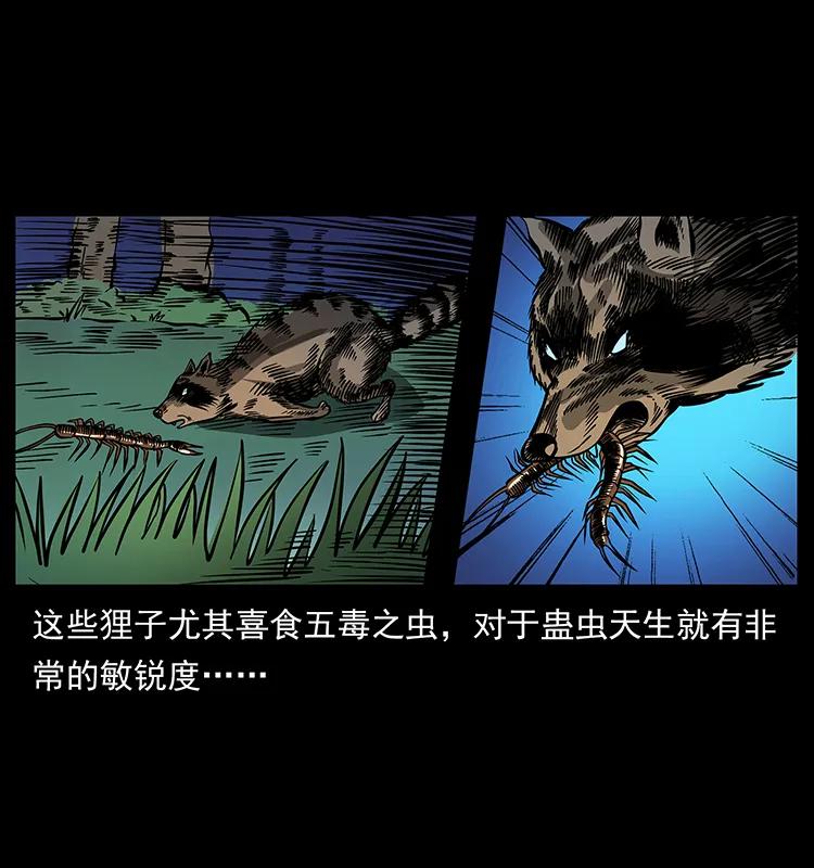 161 虫佛15