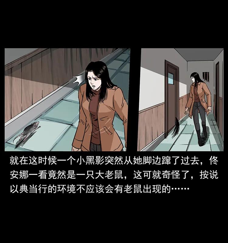 260 阴阳两世55