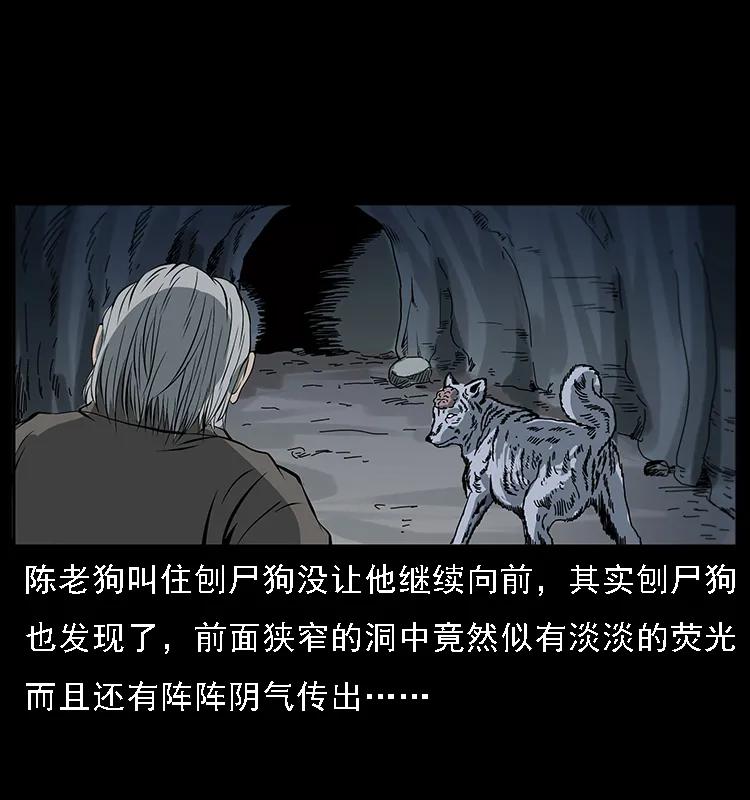 082 鬼桃树21
