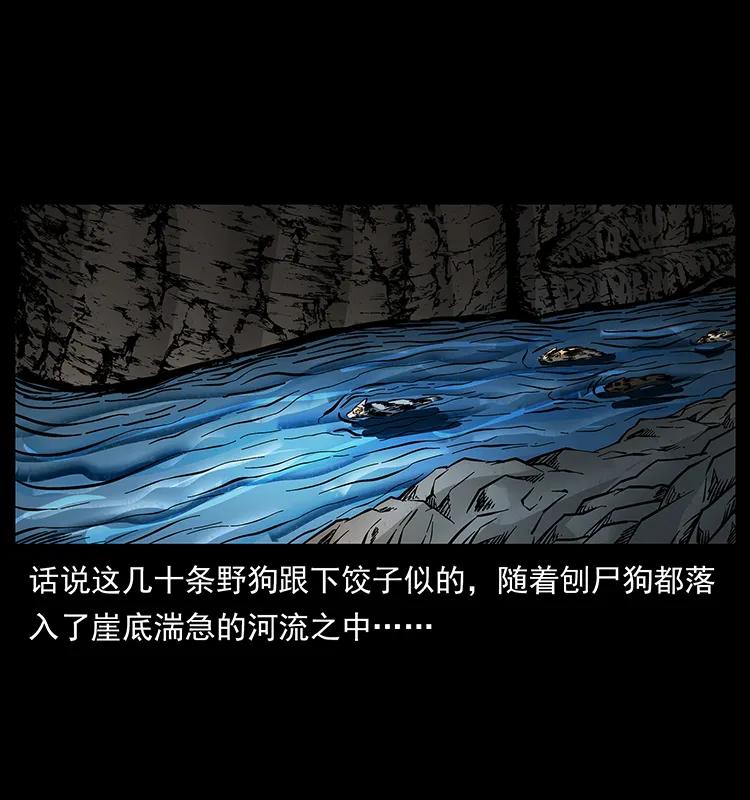 170 布局25