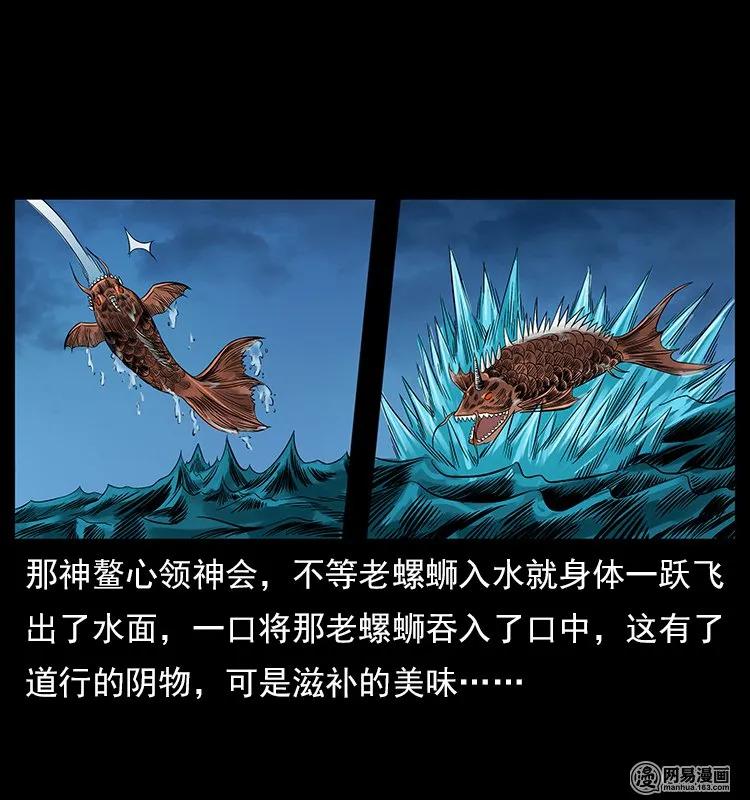 121 螺蛳55