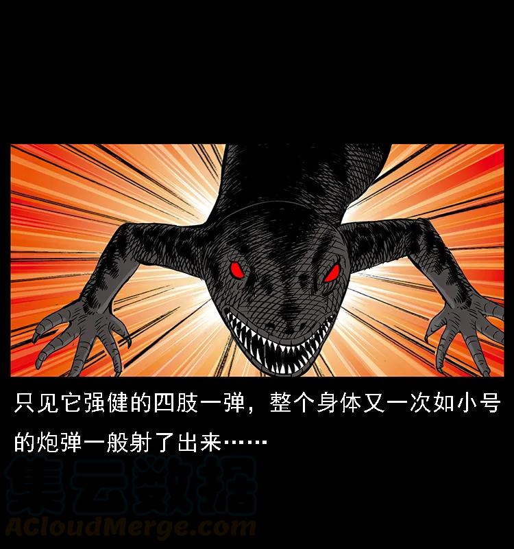 076 守宫27