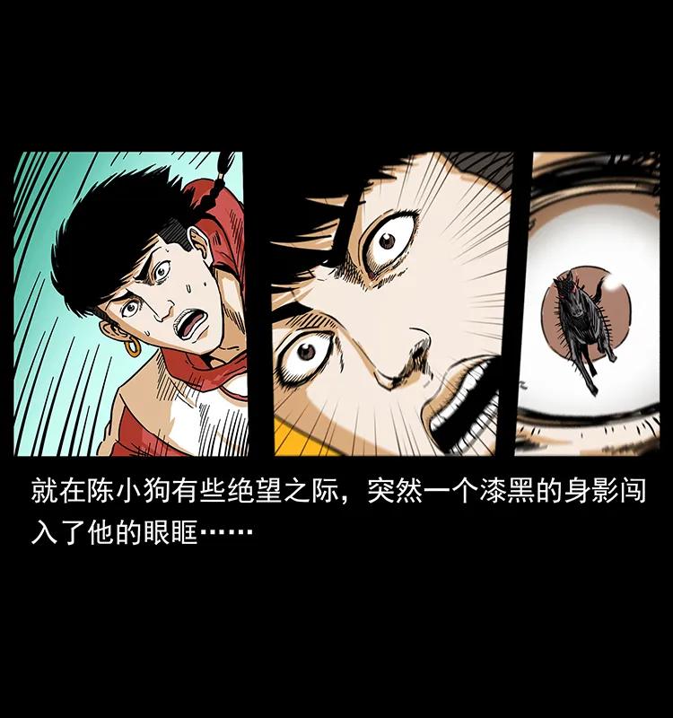 220 漠北白狼王49
