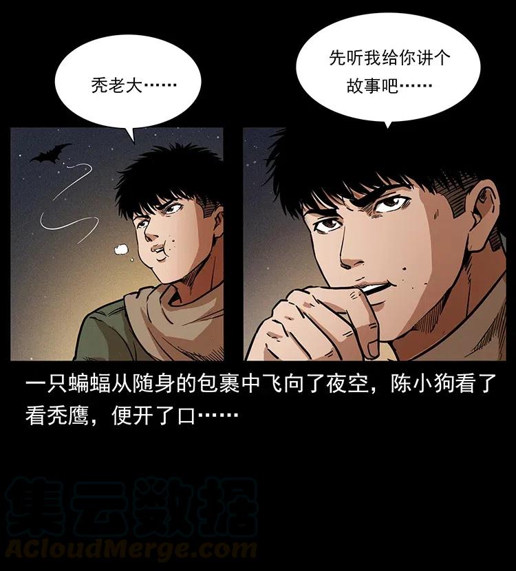 318 沙漠秃鹰48
