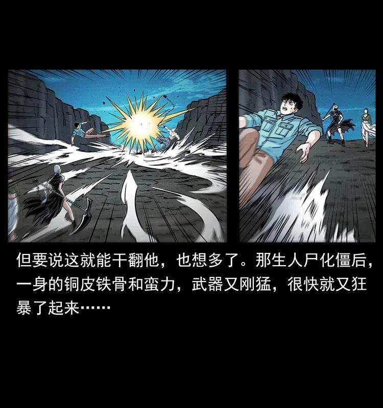 371 鸦77