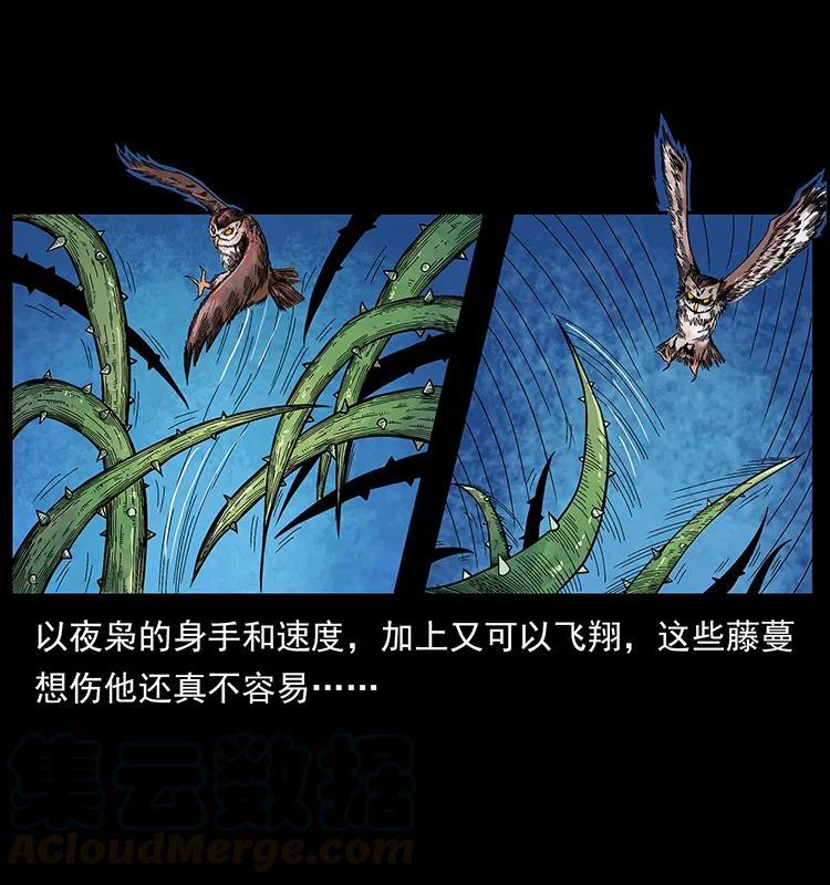 193 草蛊婆56