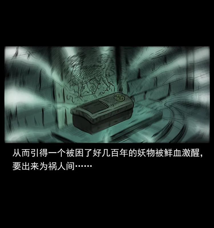 226 铁棺冢15