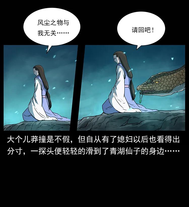 264 抚仙之战21