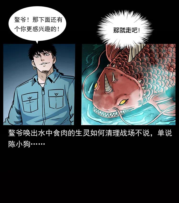 338 水尸74