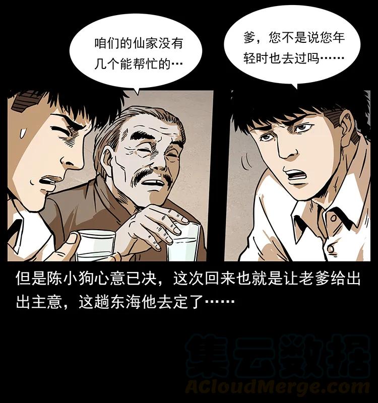 231 东海木龙8
