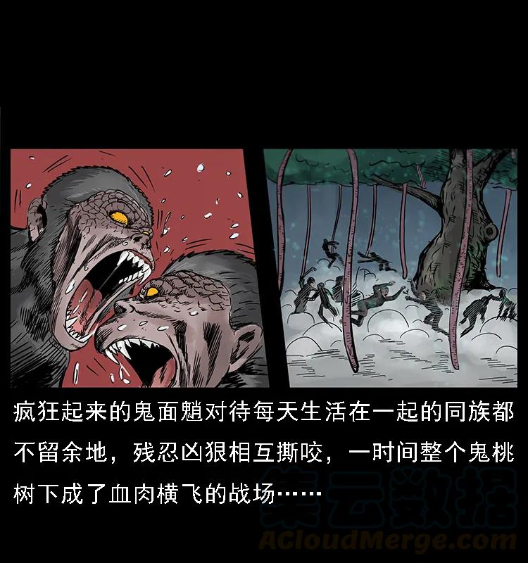 082 鬼桃树52