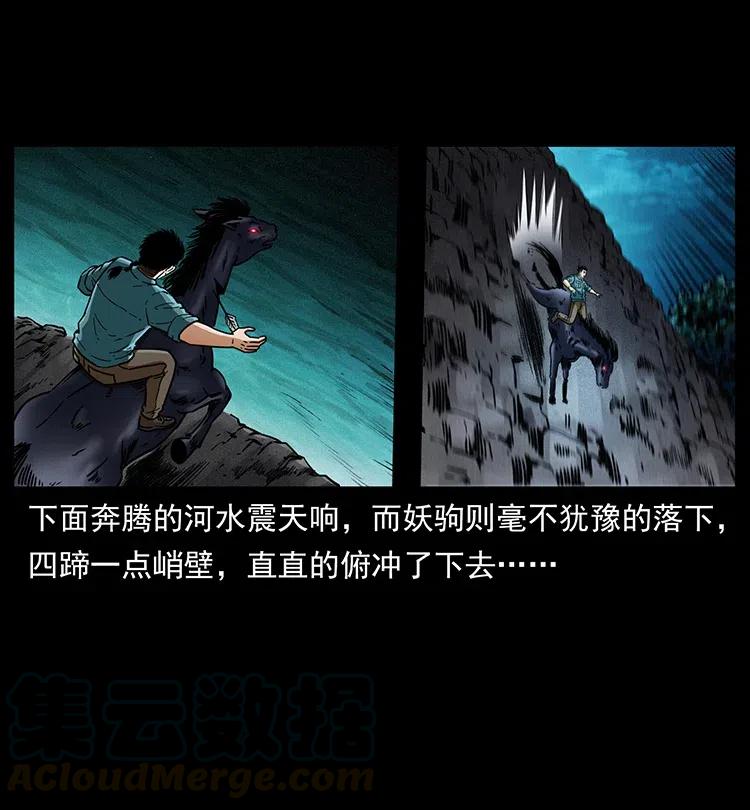 370 乌翅凤凰9