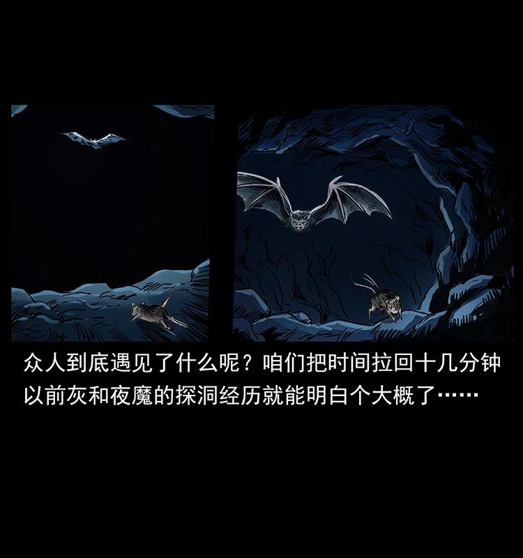 270 黑暗循环78