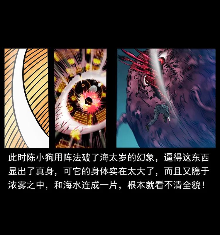 242 陈小狗失算了51